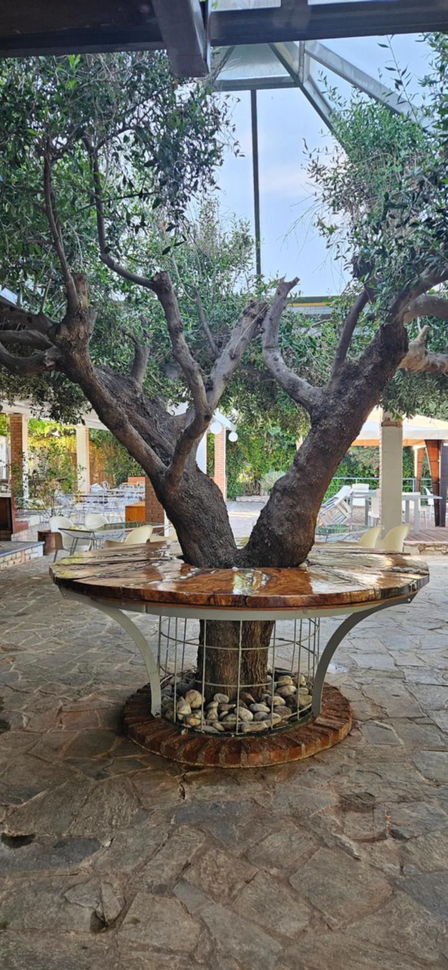 Olympic Village Hotel & Spa Ancient Olympia Exteriör bild